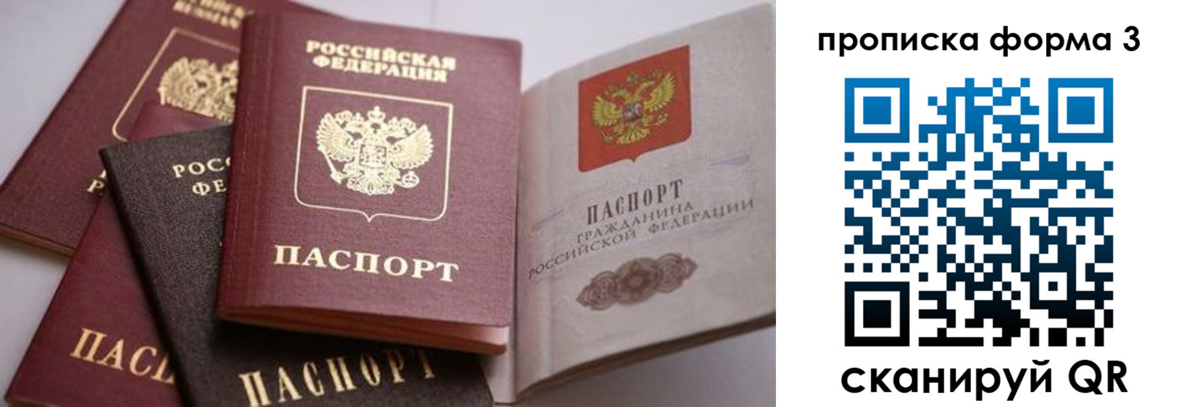 прописка для школы в Благодарном